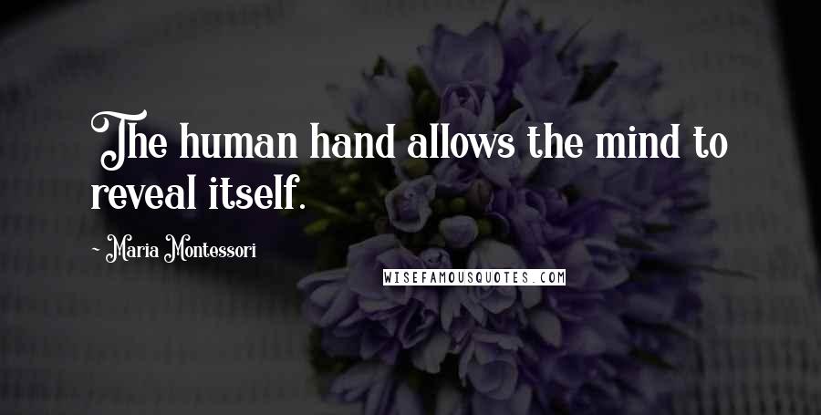 Maria Montessori Quotes: The human hand allows the mind to reveal itself.