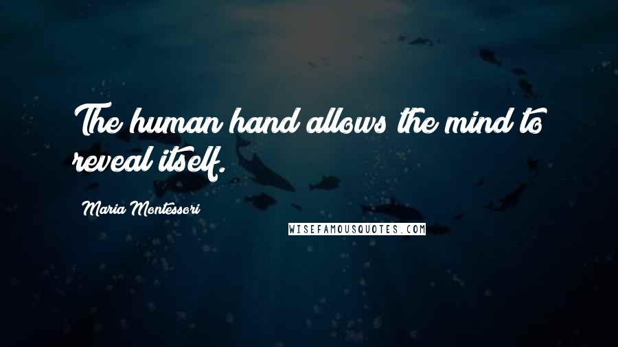 Maria Montessori Quotes: The human hand allows the mind to reveal itself.