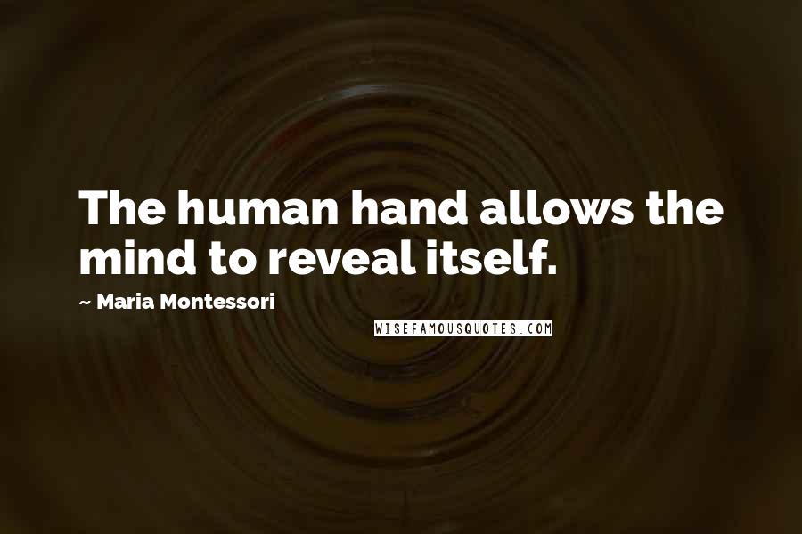 Maria Montessori Quotes: The human hand allows the mind to reveal itself.