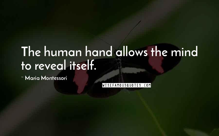 Maria Montessori Quotes: The human hand allows the mind to reveal itself.