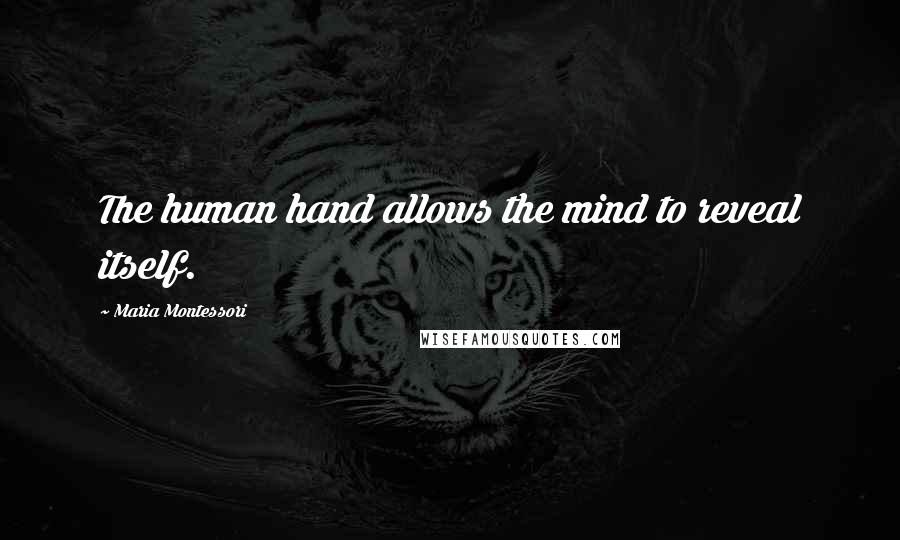 Maria Montessori Quotes: The human hand allows the mind to reveal itself.