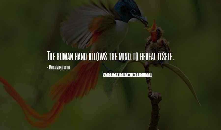 Maria Montessori Quotes: The human hand allows the mind to reveal itself.