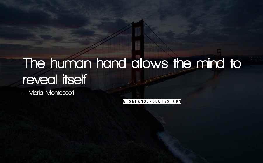 Maria Montessori Quotes: The human hand allows the mind to reveal itself.