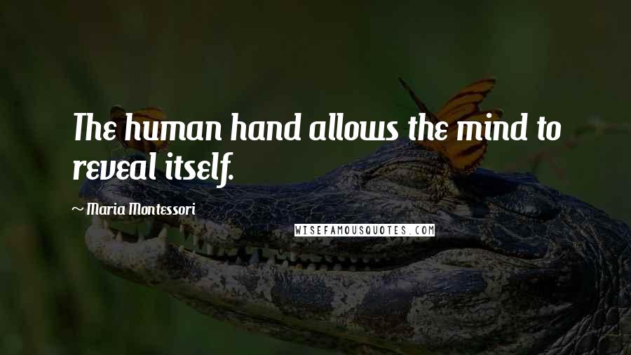 Maria Montessori Quotes: The human hand allows the mind to reveal itself.