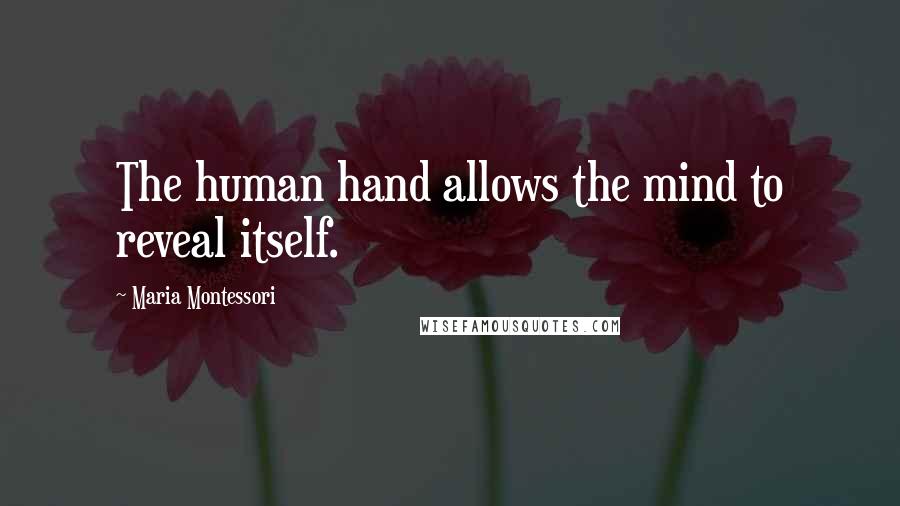 Maria Montessori Quotes: The human hand allows the mind to reveal itself.