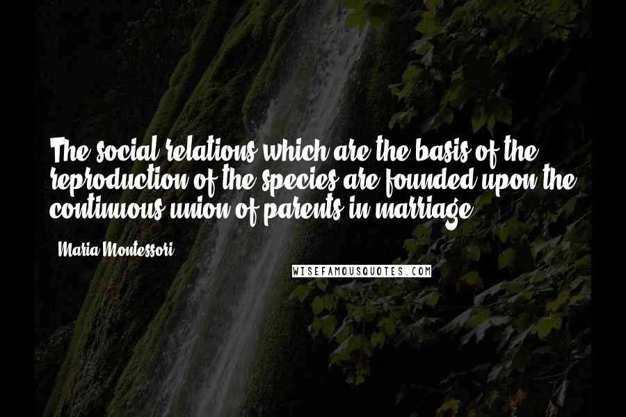 Maria Montessori Quotes: The social relations which are the basis of the reproduction of the species are founded upon the continuous union of parents in marriage.
