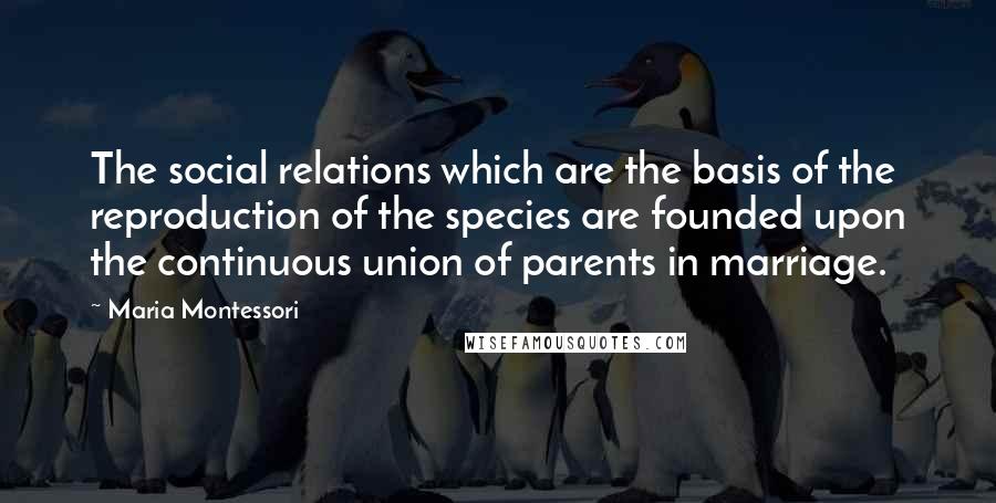 Maria Montessori Quotes: The social relations which are the basis of the reproduction of the species are founded upon the continuous union of parents in marriage.