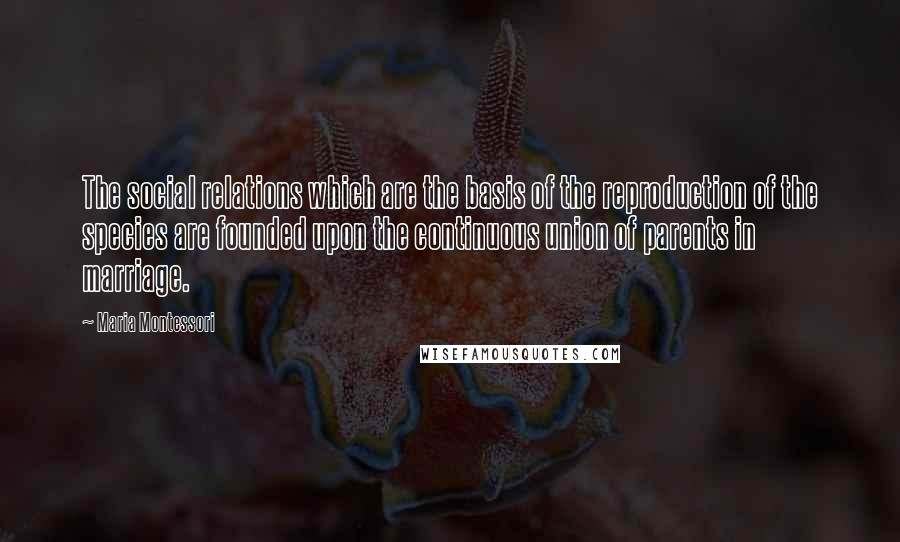 Maria Montessori Quotes: The social relations which are the basis of the reproduction of the species are founded upon the continuous union of parents in marriage.