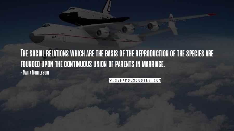 Maria Montessori Quotes: The social relations which are the basis of the reproduction of the species are founded upon the continuous union of parents in marriage.