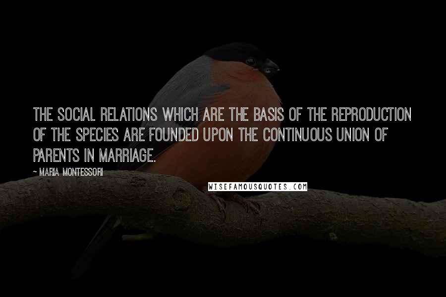 Maria Montessori Quotes: The social relations which are the basis of the reproduction of the species are founded upon the continuous union of parents in marriage.