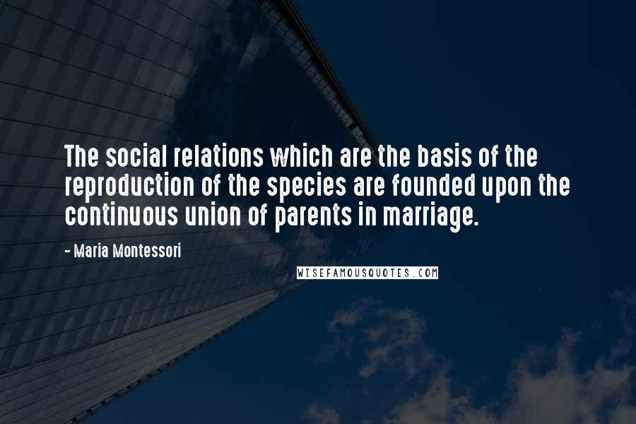Maria Montessori Quotes: The social relations which are the basis of the reproduction of the species are founded upon the continuous union of parents in marriage.