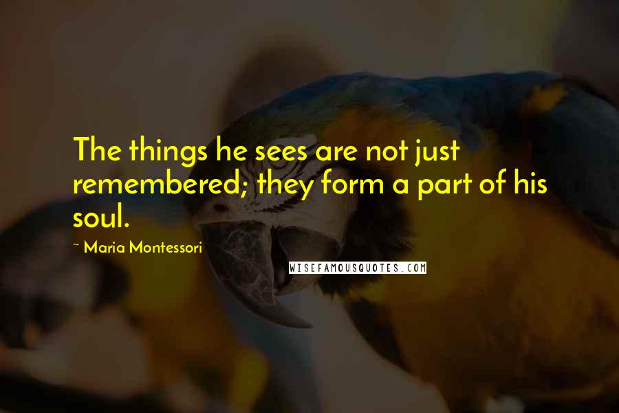 Maria Montessori Quotes: The things he sees are not just remembered; they form a part of his soul.