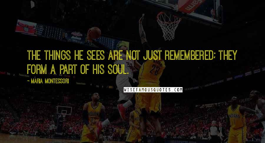 Maria Montessori Quotes: The things he sees are not just remembered; they form a part of his soul.