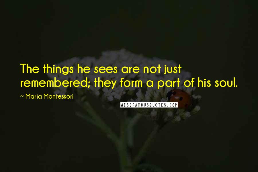 Maria Montessori Quotes: The things he sees are not just remembered; they form a part of his soul.