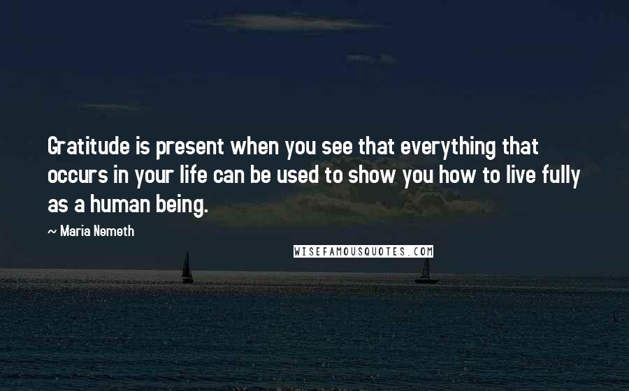 Maria Nemeth Quotes: Gratitude is present when you see that everything that occurs in your life can be used to show you how to live fully as a human being.