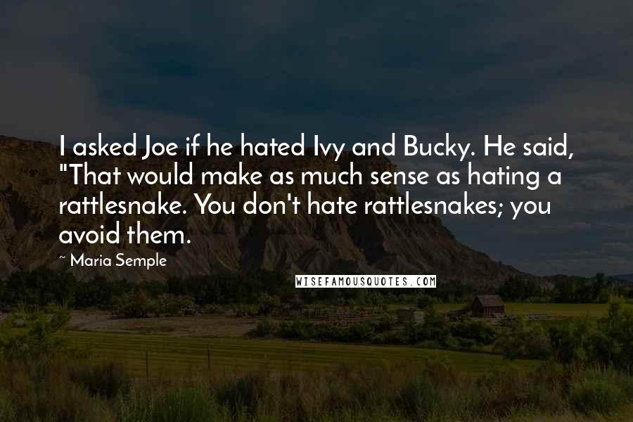 Maria Semple Quotes: I asked Joe if he hated Ivy and Bucky. He said, "That would make as much sense as hating a rattlesnake. You don't hate rattlesnakes; you avoid them.