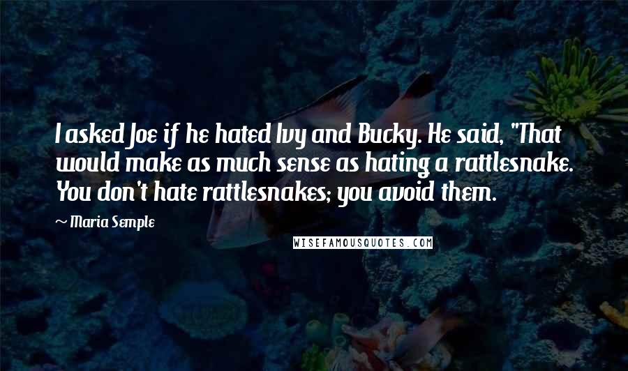 Maria Semple Quotes: I asked Joe if he hated Ivy and Bucky. He said, "That would make as much sense as hating a rattlesnake. You don't hate rattlesnakes; you avoid them.