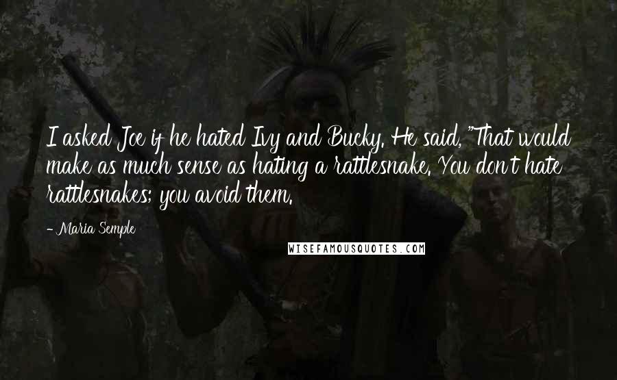 Maria Semple Quotes: I asked Joe if he hated Ivy and Bucky. He said, "That would make as much sense as hating a rattlesnake. You don't hate rattlesnakes; you avoid them.