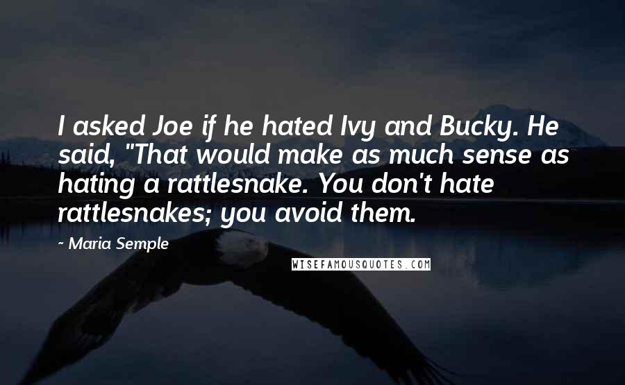 Maria Semple Quotes: I asked Joe if he hated Ivy and Bucky. He said, "That would make as much sense as hating a rattlesnake. You don't hate rattlesnakes; you avoid them.