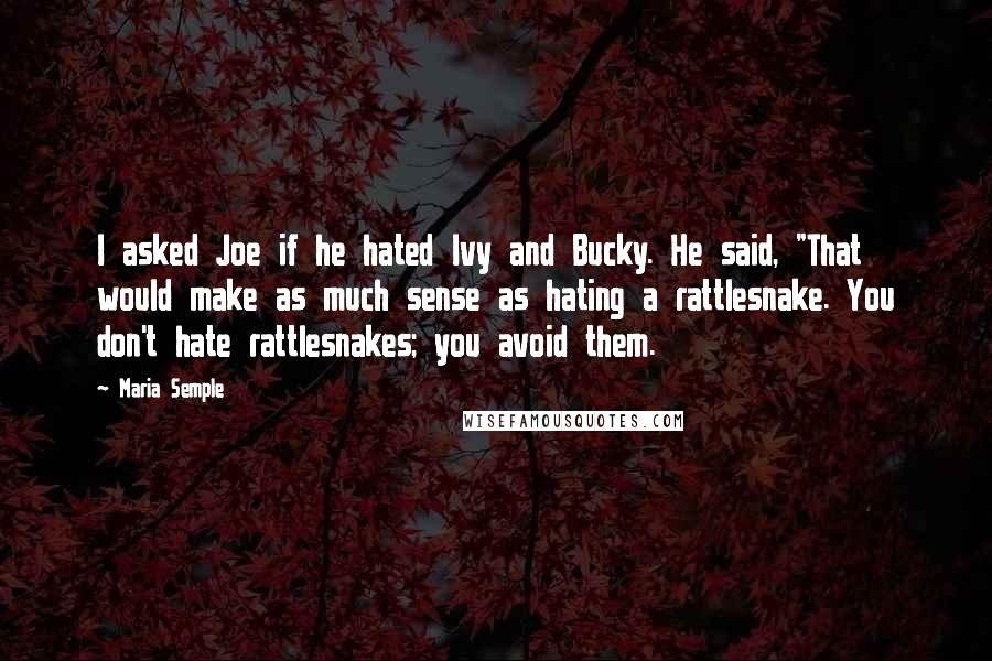 Maria Semple Quotes: I asked Joe if he hated Ivy and Bucky. He said, "That would make as much sense as hating a rattlesnake. You don't hate rattlesnakes; you avoid them.