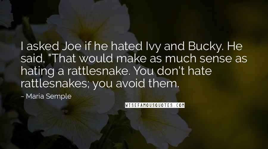 Maria Semple Quotes: I asked Joe if he hated Ivy and Bucky. He said, "That would make as much sense as hating a rattlesnake. You don't hate rattlesnakes; you avoid them.