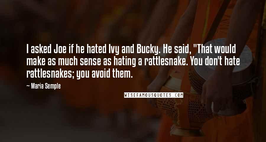 Maria Semple Quotes: I asked Joe if he hated Ivy and Bucky. He said, "That would make as much sense as hating a rattlesnake. You don't hate rattlesnakes; you avoid them.