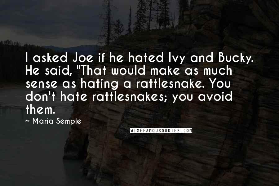 Maria Semple Quotes: I asked Joe if he hated Ivy and Bucky. He said, "That would make as much sense as hating a rattlesnake. You don't hate rattlesnakes; you avoid them.