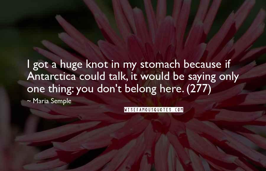 Maria Semple Quotes: I got a huge knot in my stomach because if Antarctica could talk, it would be saying only one thing: you don't belong here. (277)