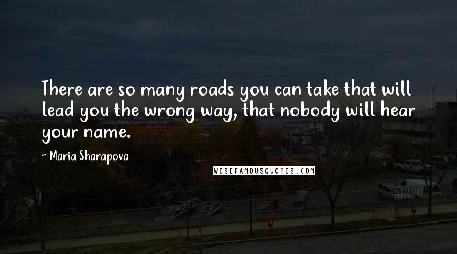 Maria Sharapova Quotes: There are so many roads you can take that will lead you the wrong way, that nobody will hear your name.