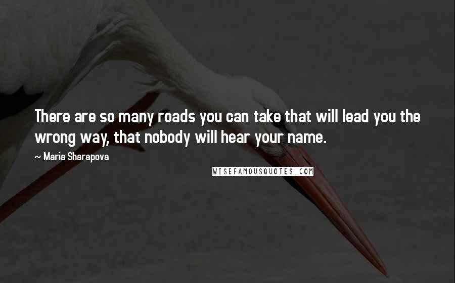 Maria Sharapova Quotes: There are so many roads you can take that will lead you the wrong way, that nobody will hear your name.