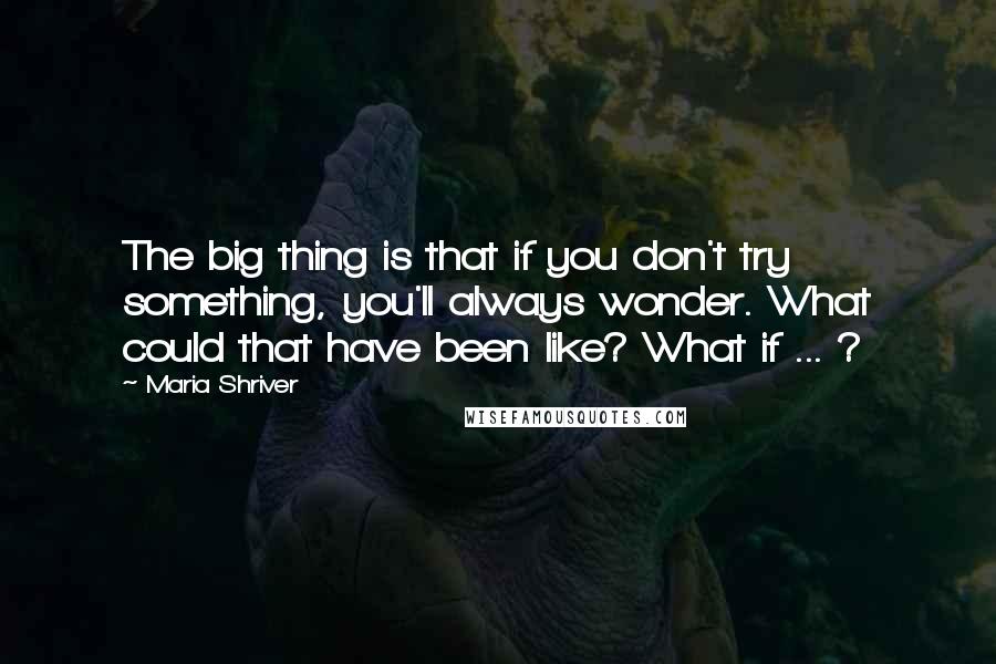 Maria Shriver Quotes: The big thing is that if you don't try something, you'll always wonder. What could that have been like? What if ... ?