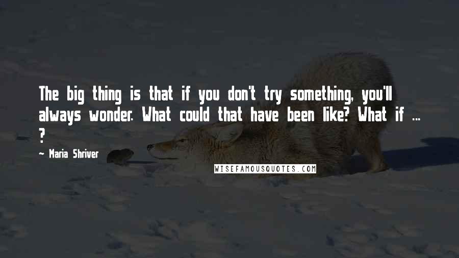 Maria Shriver Quotes: The big thing is that if you don't try something, you'll always wonder. What could that have been like? What if ... ?