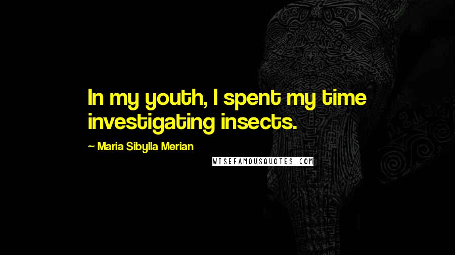 Maria Sibylla Merian Quotes: In my youth, I spent my time investigating insects.