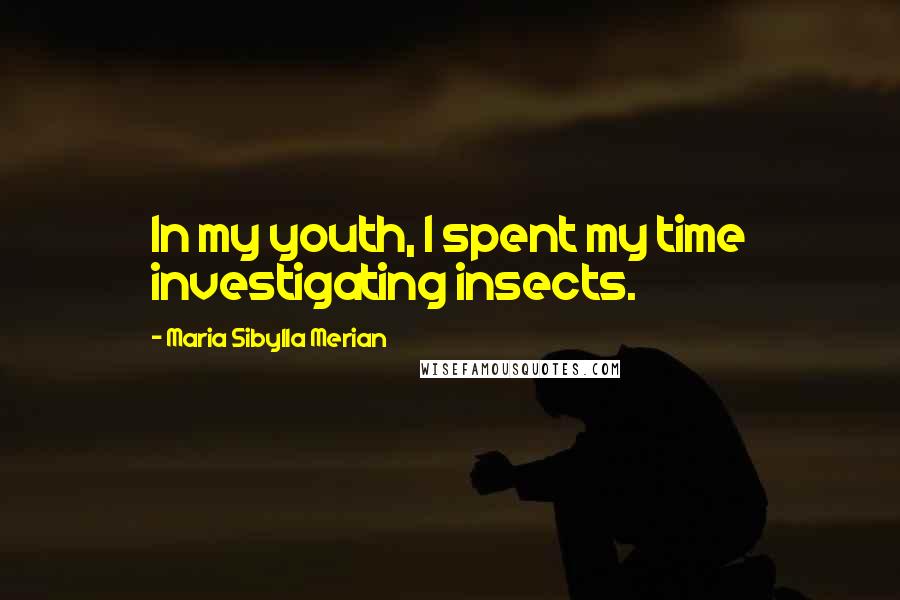 Maria Sibylla Merian Quotes: In my youth, I spent my time investigating insects.