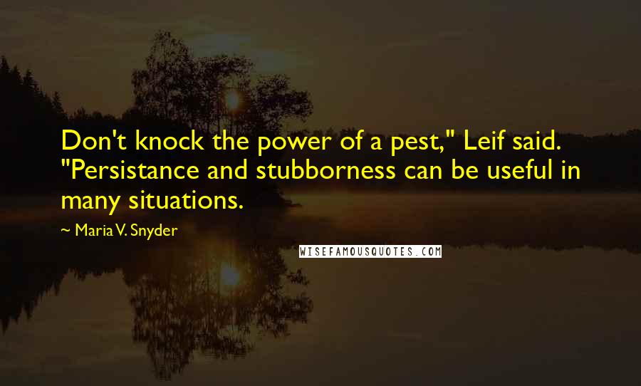 Maria V. Snyder Quotes: Don't knock the power of a pest," Leif said. "Persistance and stubborness can be useful in many situations.