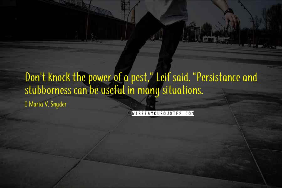 Maria V. Snyder Quotes: Don't knock the power of a pest," Leif said. "Persistance and stubborness can be useful in many situations.