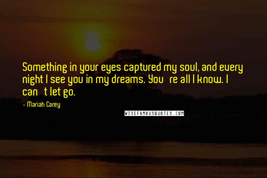 Mariah Carey Quotes: Something in your eyes captured my soul, and every night I see you in my dreams. You're all I know. I can't let go.