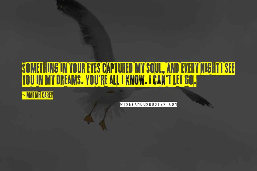 Mariah Carey Quotes: Something in your eyes captured my soul, and every night I see you in my dreams. You're all I know. I can't let go.