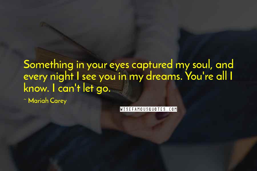 Mariah Carey Quotes: Something in your eyes captured my soul, and every night I see you in my dreams. You're all I know. I can't let go.