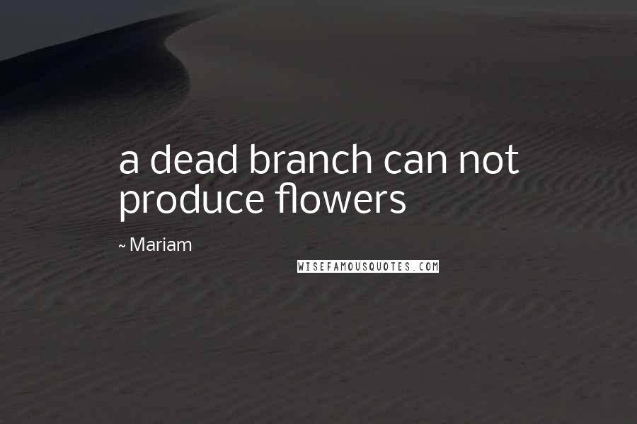 Mariam Quotes: a dead branch can not produce flowers