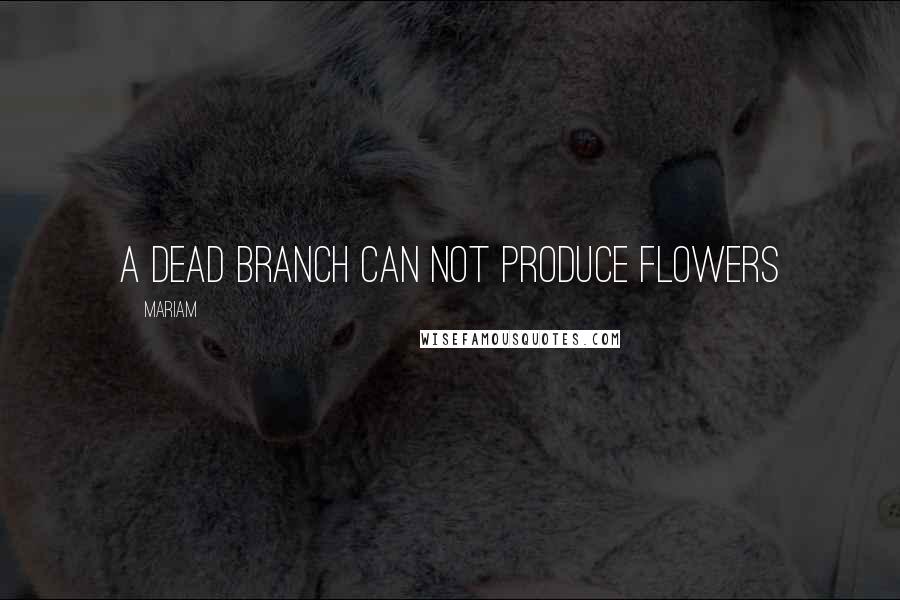 Mariam Quotes: a dead branch can not produce flowers