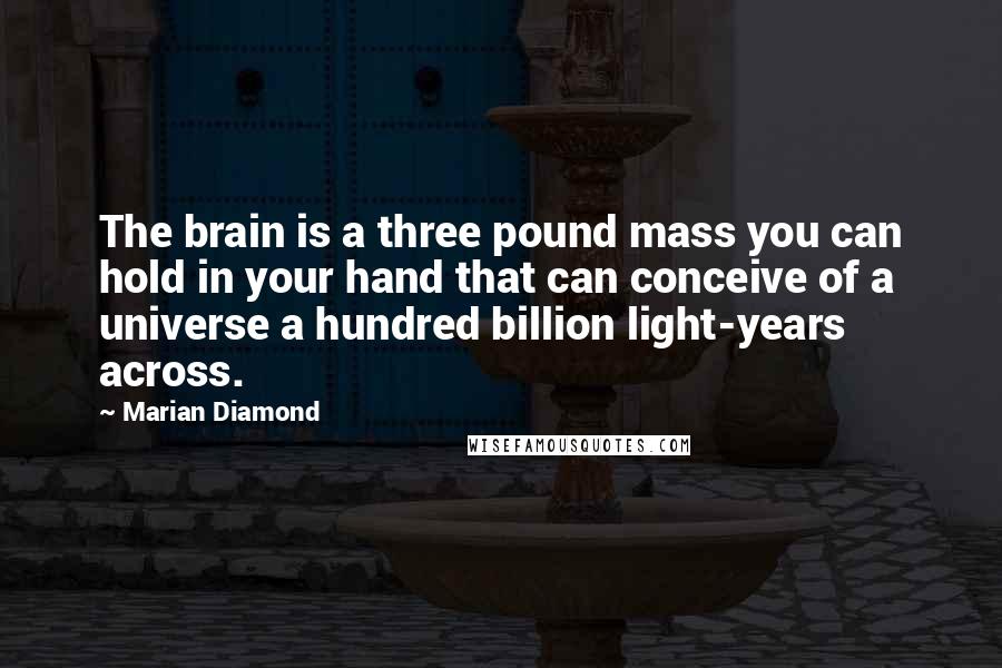 Marian Diamond Quotes: The brain is a three pound mass you can hold in your hand that can conceive of a universe a hundred billion light-years across.