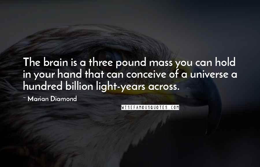 Marian Diamond Quotes: The brain is a three pound mass you can hold in your hand that can conceive of a universe a hundred billion light-years across.