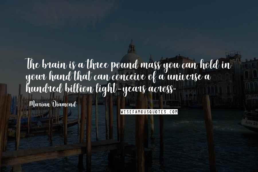 Marian Diamond Quotes: The brain is a three pound mass you can hold in your hand that can conceive of a universe a hundred billion light-years across.