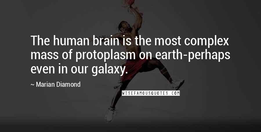 Marian Diamond Quotes: The human brain is the most complex mass of protoplasm on earth-perhaps even in our galaxy.