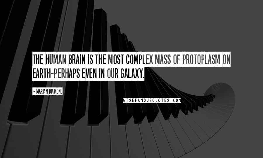 Marian Diamond Quotes: The human brain is the most complex mass of protoplasm on earth-perhaps even in our galaxy.