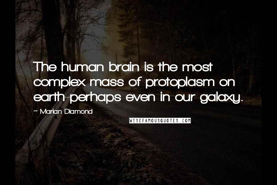 Marian Diamond Quotes: The human brain is the most complex mass of protoplasm on earth-perhaps even in our galaxy.