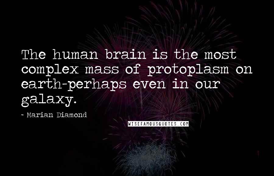 Marian Diamond Quotes: The human brain is the most complex mass of protoplasm on earth-perhaps even in our galaxy.