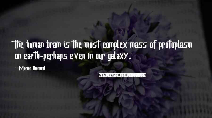 Marian Diamond Quotes: The human brain is the most complex mass of protoplasm on earth-perhaps even in our galaxy.