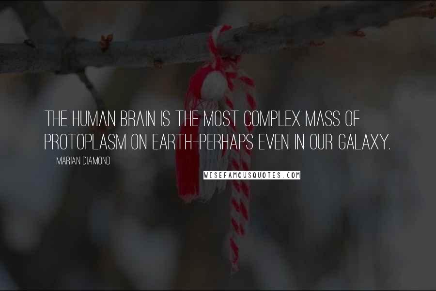 Marian Diamond Quotes: The human brain is the most complex mass of protoplasm on earth-perhaps even in our galaxy.